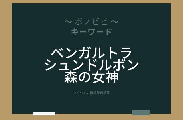 まとめ:　ボノビビはこんな女神