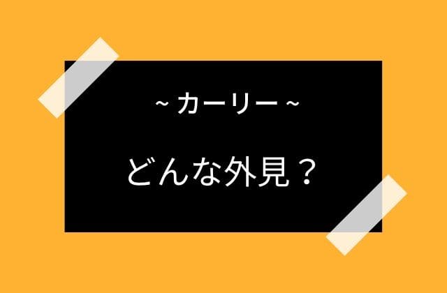 カーリーはどんな姿なのか？