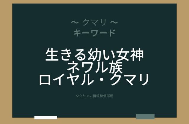 まとめ:　クマリはこんな女神