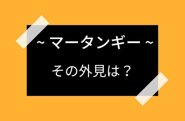 マータンギーの外見は？