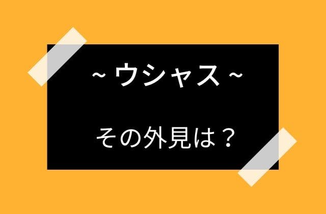 ウシャスの外見は？