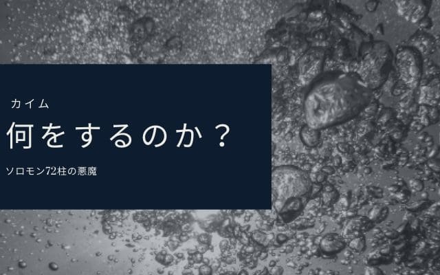 カイム:　何が出来るのか？