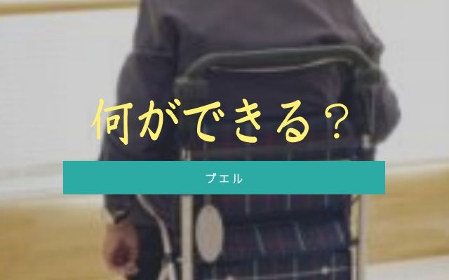 ブエルは何をしてくれるのか？