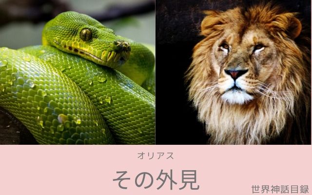 オリアス:　どんな外見か？