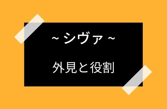 シヴァの外見とその役割