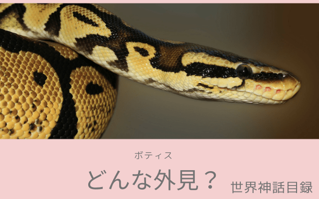 ボティスはどんな姿？